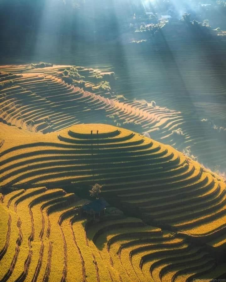 Homestay Hoa Thao - Bus ,Trek & Motorbike Mu Cang Chai 외부 사진
